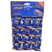 الفا برايت | سلك تنظيف | ستيل الاصلي | كرتون | 12X...