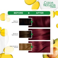 غارنييه | صبغة كولور ناتشورالز لون 6.60 فايري بيور...