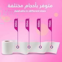 كلينكس | حزمة 6 رولة ماكسي رول | 350 متر