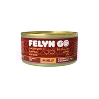 فيلاين قو طعام رطب للقطط البالغة بنكهة الدجاج والي...