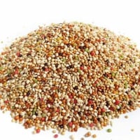 اكل بادجي او طيور الحب تعبئة بالوزن