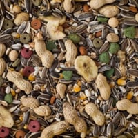 اكل ببغاء تعبئة بالوزن