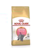 رويال كانين بريتش طعام جاف للكيتن ذات الشعر القصير...