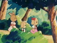 مدينة النخيل