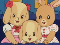 مدينة النخيل