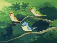 الغابة الخضراء