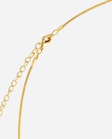 سلسال دُرّة – لؤلؤة بيضاء متألقة | Remember Me