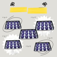 فناجيل سيفين و نخلة لون ازرق