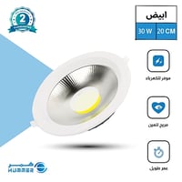 كشاف دفن لون الانارة ابيض20 سم 30 واط