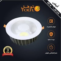 كشاف دفن لون ابيض 20 سم 60 واط