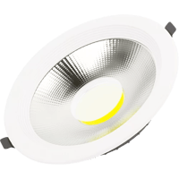 كشاف دفن لون الانارة اصفر 20 سم 30 واط