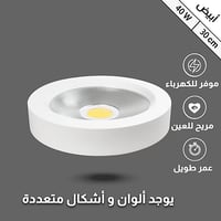 كشاف لطش لون ابيض 30 سم عاكس شفاف 40 واط