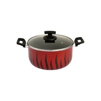 قدر تانجو 20 سم بغطاء