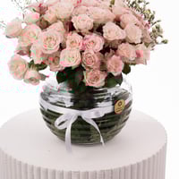 جوري النعومة