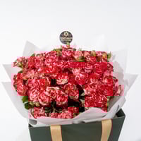 نبض السبراي الأحمر