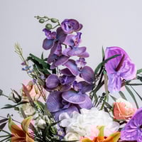 رونق الأوركيد