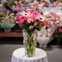 جربيرا الندى