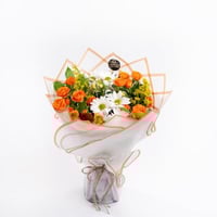 شروق الأقحوان