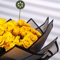 ظلال الجوري