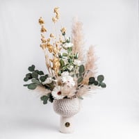 نسيم الفانيلا