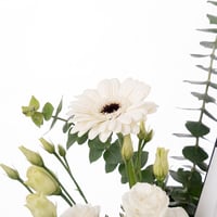 لمسة الفانيلا