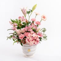 عبير الألسترويمريا