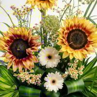 إشراقة خضراء