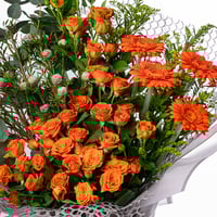 غنوة برتقالية