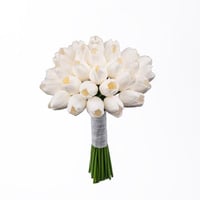 توليب السلام