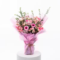 جربيرا روزي دريم