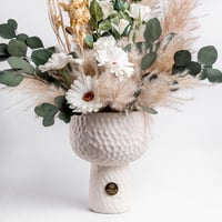 نسيم الفانيلا