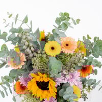 عباد الشمس الذهبي