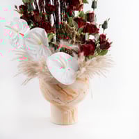 همسة أنثوريوم