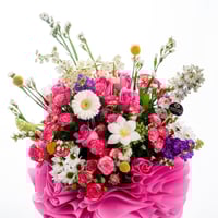 الأقحوان والبيبي روز