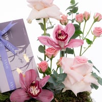 تناغم الأوركيد الوردي