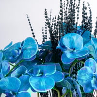 سحر الأزرق الملكي