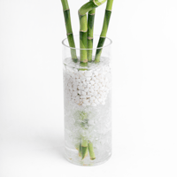 بامبو الخيال