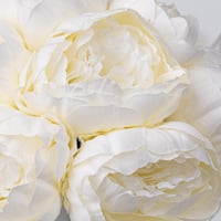 لمسة بيوني كلاسيكية