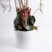 سكينة الياسمين