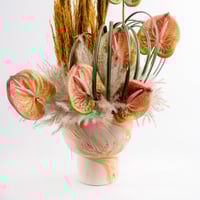 همسة مرجانية