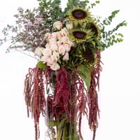 نور الطبيعة