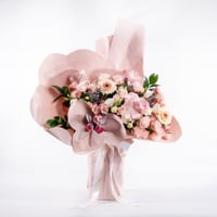 نبض الجوري الوردي