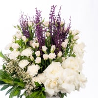 أناقة اللافندر