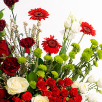 حمراء بقلبي