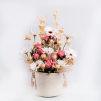 نبض الأنوثة