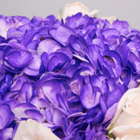 سحر الأنوثة