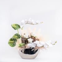 نسمات بيضاء