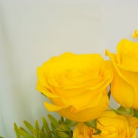 ابتسامة الشمس