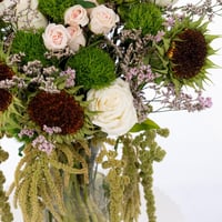 أناقة خضراء