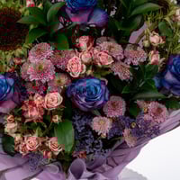 همس الألوان